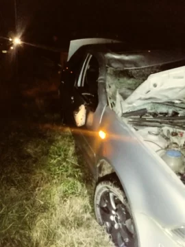 Susto para pareja que atropelló a un caballo en ruta 88 cuando se dirigía desde Mar del Plata hacia Quequén