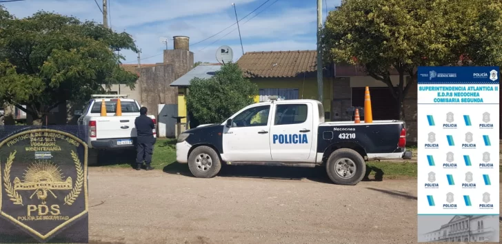 Secuestraron más de 40 plantas de marihuana en Quequén
