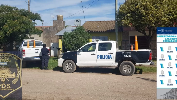 Secuestraron más de 40 plantas de marihuana en Quequén