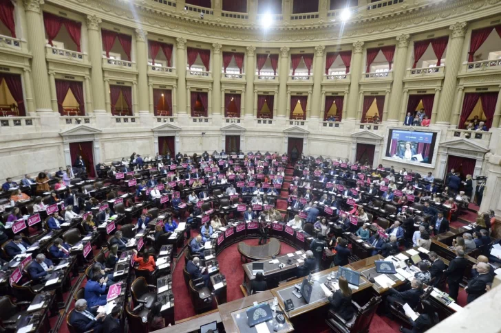 Diputados se refirieron al proyecto de moratoria previsional