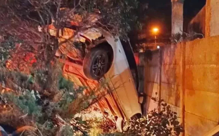 Borracho perdió el control del auto: quedó colgado de un árbol