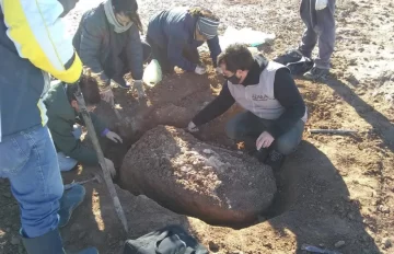 Hallaron fósiles de un perezoso gigante en Miramar