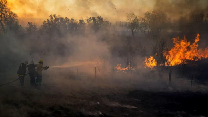 El Gobierno culpó al sector agropecuario por los incendios en el Delta