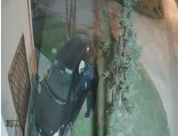 Video: ladrón solitario violenta un auto, roba algunas cosas y se da a la fuga