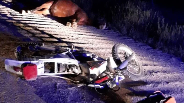 Falleció un motociclista tras chocar contra un caballo