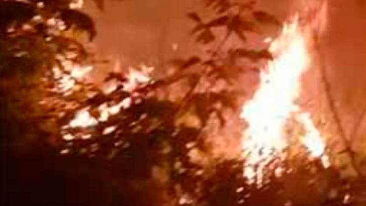 Incendio de terrenos casi alcanza una vivienda en Juan N. Fernández