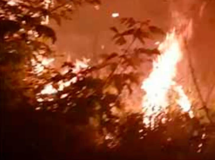 Incendio de terrenos casi alcanza una vivienda en Juan N. Fernández