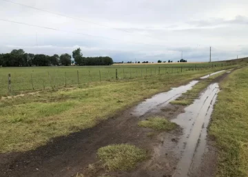 Lluvia traicionera: ayer cayeron sólo 3 milímetros. Mirá los registros de la zona