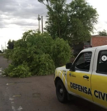 Consecuencias de la tormenta: árboles caídos, postes y la voladura de una garita de colectivos