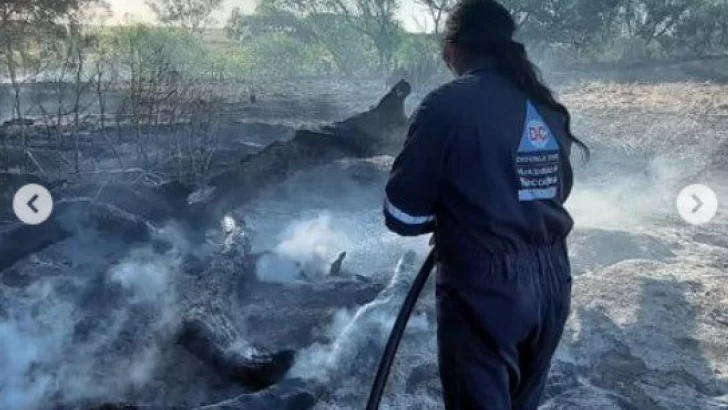 Nuevo incendio forestal: se quemaron más de 100 hectáreas en la zona de Las Cascadas