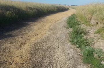 La Provincia declaró la emergencia agropecuaria en otros 11 municipios