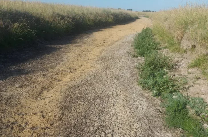 La Provincia declaró la emergencia agropecuaria en otros 11 municipios