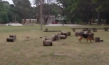 Vandalismo sin fin: destrozos en la plaza de Villa del Deportista