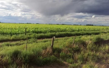 En Necochea cayeron sólo 10 milímetros de lluvia