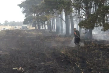 Incendio forestal en Quequén: se quemaron más de 10 hectáreas