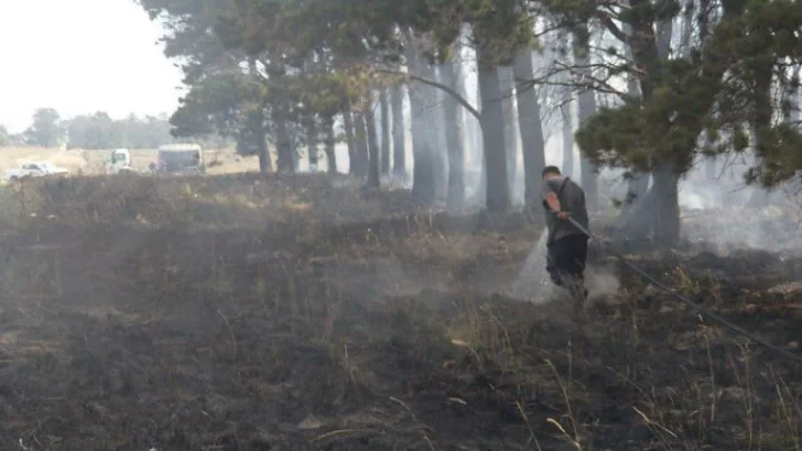 Incendio forestal en Quequén: se quemaron más de 10 hectáreas