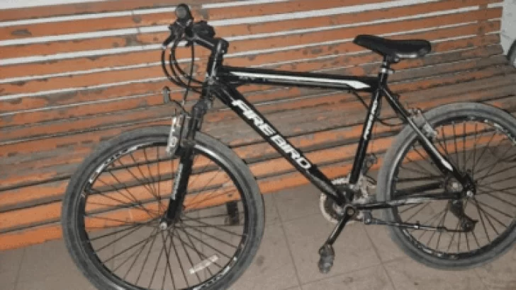 Una mujer resultó aprehendida por el robo de una bicicleta