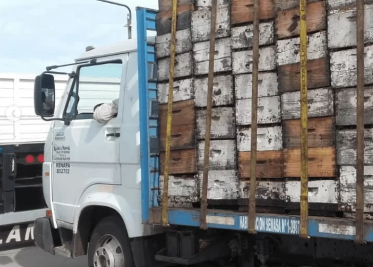 Policía Ecológica y Bromatología realizaron control de mercadería en rutas