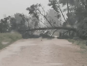 Viviendas afectadas por la tormenta en Lobería: una familia debió autoevacuarse