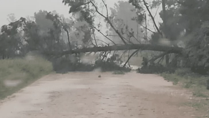 Viviendas afectadas por la tormenta en Lobería: una familia debió autoevacuarse