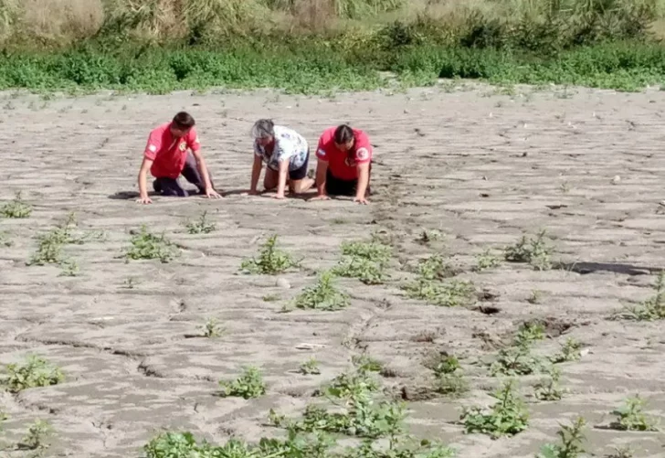 Sequía: en Chascomús, la laguna se tragó a una mujer