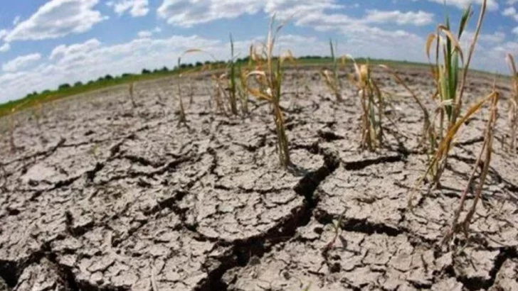 AFIP reglamentó beneficios fiscales a productores afectados por sequía
