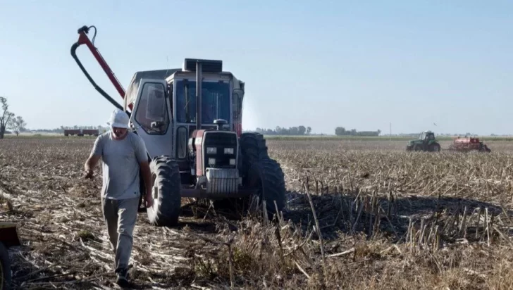 Nación prorrogó la emergencia agropecuaria en Necochea