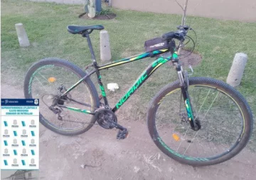 Vecinos logran retener a un delincuente que robó una bicicleta