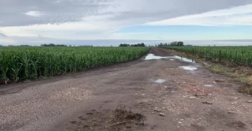 Registro de lluvias en la zona