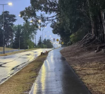 Se anticipa un jueves ventoso con lluvias por la tarde