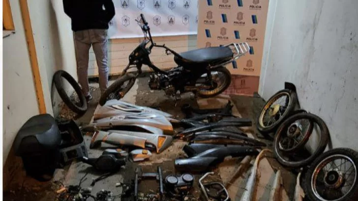 Desbaratan un desarmadero de motos robadas en Quequén
