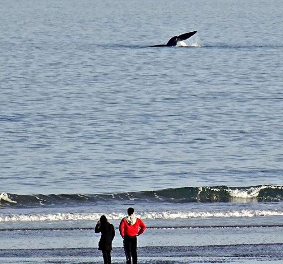 Cómo estará el tiempo este sábado en Necochea