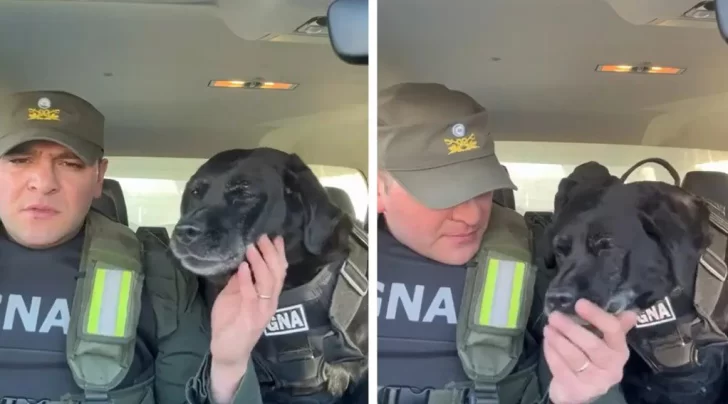 La emotiva despedida tras su última patrulla de Pequi, una perra de Gendarmería