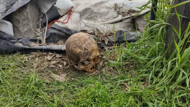 Vecino de 69 y 82 se disponía a cortar el césped y encontró un cráneo