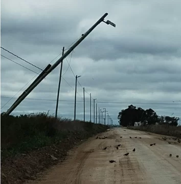 El viento supera por momentos los 60 Km y se reportaron postes con peligro de caer