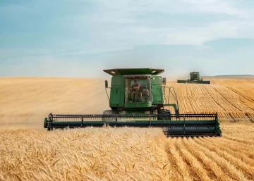 La merma en la cosecha de trigo provoca pérdidas millonarias para Argentina