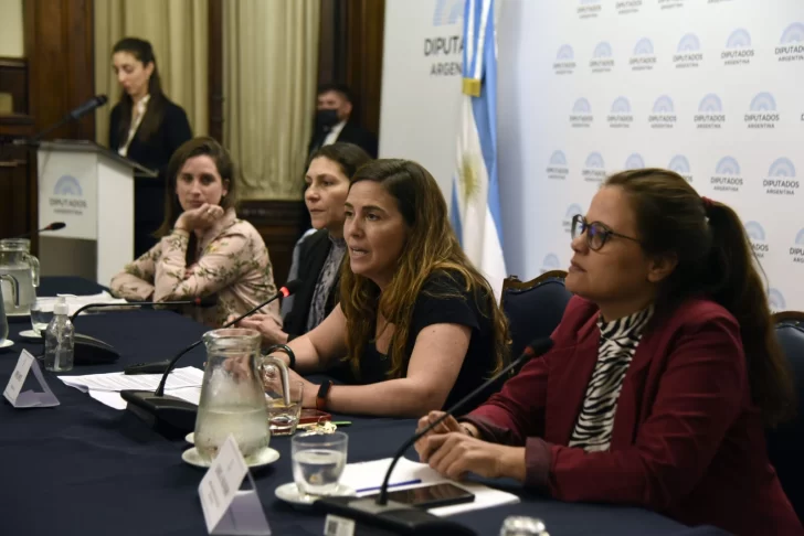 Solo 1 de cada 4 mujeres recibe los ingresos de la cuota alimentaria