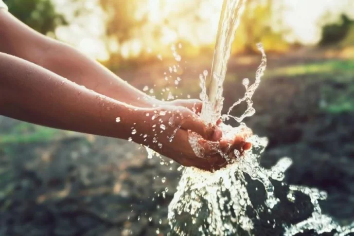 Día Mundial del Agua: promover y concientizar acerca de la importancia de este recurso para la salud