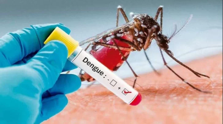 En Necochea no se han reportado al momento casos de dengue