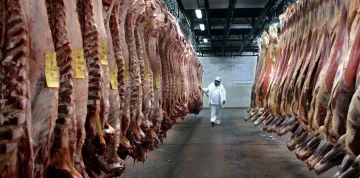 El Gobierno asegura que Argentina duplicará las exportaciones de carne a Israel en 2020