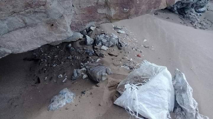 Jornada de limpieza en playas del sur: encontraron bolsas, jeringas, pañales y hasta un bikini