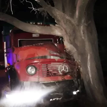 Un camión rompió una barrera y chocó un árbol