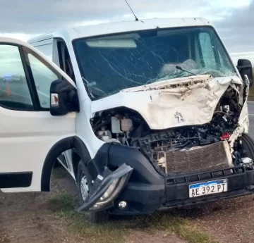 Una camioneta chocó contra una vaca en Ruta 228