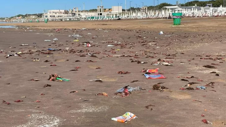 Día de la Educación Ambiental: así queda nuestra playa por la basura que arrojamos en la calle