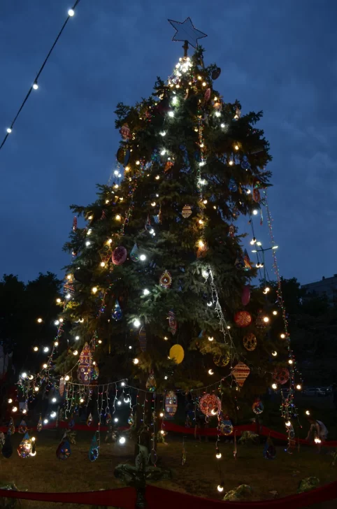 El Arbolito de Navidad ya luce en la plaza Dardo Rocha
