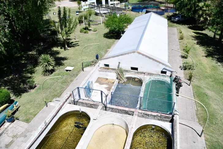 Mejoran infraestructura de la Estación de Piscicultura