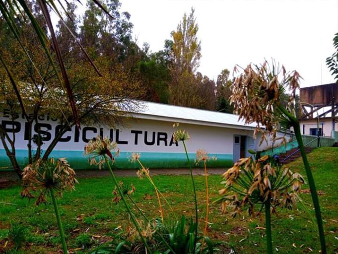 Realizan mejoras en la Estación de Piscicultura