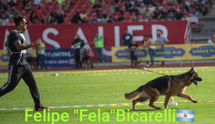Felipe-Bicarelli