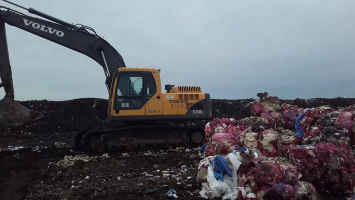 Mar del Plata: hallaron 9 fetos en el interior del predio de disposición final de residuos