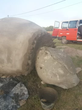 Escultora donó réplica de gliptodonte al balneario Arenas Verdes